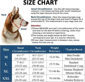 img 2 attached to 🐶 No Pull Barkless Dog Head Collar - Adjustable, Padded Headcollar for Dogs with Training Guide - Stops Pulling and Choking on Walks - Size Large, Color Red