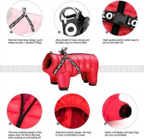 img 2 attached to Didog Winter Small Dog Coats: Waterproof, Warm & Harness Compatible For Puppy & Cat Walking Hiking - Red (Chest 13")