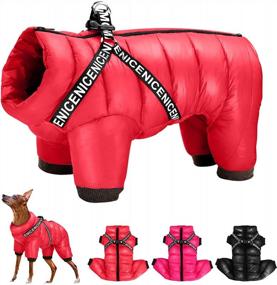 img 4 attached to Didog Winter Small Dog Coats: Waterproof, Warm & Harness Compatible For Puppy & Cat Walking Hiking - Red (Chest 13")