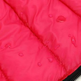 img 1 attached to Didog Winter Small Dog Coats: Waterproof, Warm & Harness Compatible For Puppy & Cat Walking Hiking - Red (Chest 13")