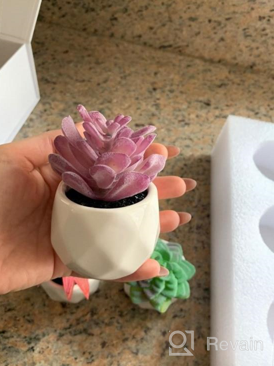 img 1 attached to Bring Home The Beauty Of Lvydec'S Mini-Sized Artificial Succulent Plants In Porcelain Pots - Perfect For Home, Bath, Or Office Decor! review by Tony Andrews