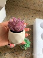 img 1 attached to Bring Home The Beauty Of Lvydec'S Mini-Sized Artificial Succulent Plants In Porcelain Pots - Perfect For Home, Bath, Or Office Decor! review by Tony Andrews