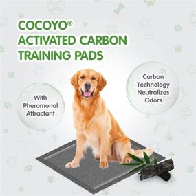 img 2 attached to 🐶 COCOYO Dog Training Pads: Carbon Absorb Urine Odor, Premium Charcoal Pee Pads - 100 Count, 22x22 inch