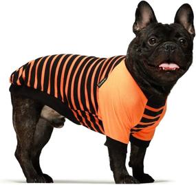 img 2 attached to Fitwarm Halloween Dog Shirt 2-Pack: 100% Cotton Pet Clothes for Dogs and Cats - Breathable, Stretchy, and Adorable Costumes in XS Size