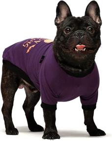 img 1 attached to Fitwarm Halloween Dog Shirt 2-Pack: 100% Cotton Pet Clothes for Dogs and Cats - Breathable, Stretchy, and Adorable Costumes in XS Size