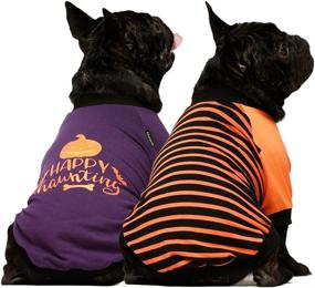 img 3 attached to Fitwarm Halloween Dog Shirt 2-Pack: 100% Cotton Pet Clothes for Dogs and Cats - Breathable, Stretchy, and Adorable Costumes in XS Size