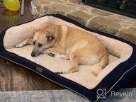 img 1 attached to Upgrade Your Dog'S Rest With EMME Sofa Style Orthopedic Beds - Deluxe Pet Couch With Egg Foam Mattress And Washable Fleece Cover review by Craig Galante