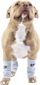 img 2 attached to 🔥 Stay Cozy with Canada Pooch Work It Warmers: Perfect Winter Accessory