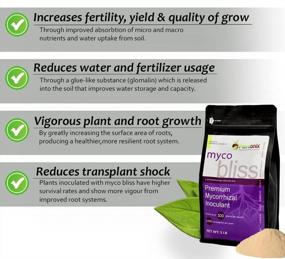 img 2 attached to Myco Bliss - Mycorrhizal Fungal Inoculant For Plants - 5 Superior Strains - Organic Mycorrhizae Root Enhancer - Increases Nutrient Absorption & Crop Yields (1 Lb, Powder)