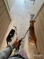картинка 1 прикреплена к отзыву Oneisall Hands Free Dog Leash,Multifunctional Dog Training Leash,8Ft Nylon Double Leash For Puppy Small Medium Service Dogs Blue от John Martin