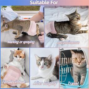 img 1 attached to Super Absorbent Disposable Diapers for Cats and Dogs - Perfect for Female Dogs and Male & Female Puppies in Physiological Periods