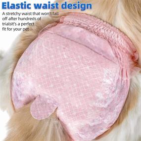 img 2 attached to Super Absorbent Disposable Diapers for Cats and Dogs - Perfect for Female Dogs and Male & Female Puppies in Physiological Periods