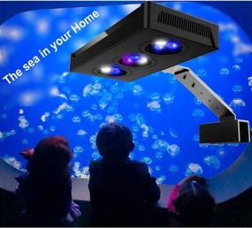 img 3 attached to 🐠 CoralChat: 30W Cree Spectrum Marine Saltwater Coral LED Light Lamp for Nano Tanks