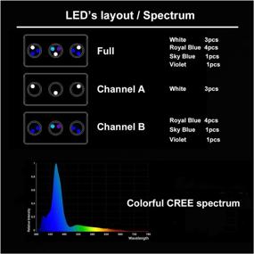 img 1 attached to 🐠 CoralChat: 30W Cree Spectrum Marine Saltwater Coral LED Light Lamp for Nano Tanks