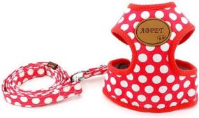 img 2 attached to 🐾 Ranphy Dog Cat Harness and Leash Set - No Pull Mesh Vest Harness Adjustable for Small Dog Cat - Polka Dot Design for Girl Boy - Chihuahua Yorkie Harness Ideal for Walking, Training, Hiking, Running