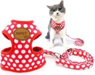 🐾 ranphy dog cat harness and leash set - no pull mesh vest harness adjustable for small dog cat - polka dot design for girl boy - chihuahua yorkie harness ideal for walking, training, hiking, running logo