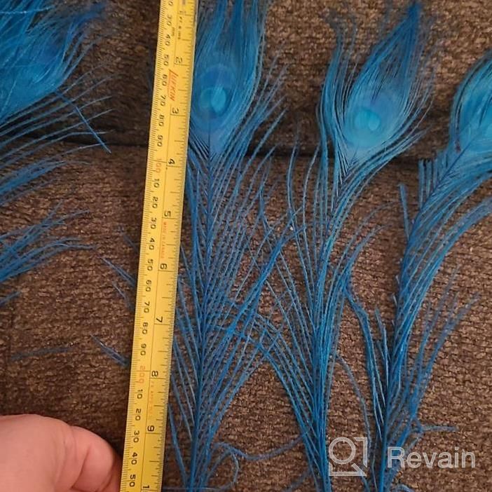 img 1 attached to Purple Peacock Feathers: 20 Dyed 10"-12" Feathers For Decor, Crafts, And Fashion review by Sarah Jones