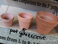 img 1 attached to 3 Inch Terra Cotta Flower Pots With Drainage Holes - Pack Of 10 Small Craft Nursery Succulent Plant Pottery Clay Pots For Water Permeable Cactus Plants review by Jason Bolden