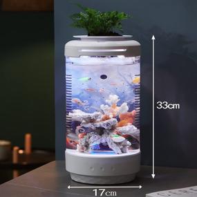img 3 attached to Emlymoly Mini Smart Ecological Fish Tank Desktop Aquarium with Self-Circulating System, Creative Landscaping for Home Living Room Office, 1.05 Gallon (Fish Tank - A) - No Water Change Required