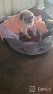 картинка 1 прикреплена к отзыву Пасхальное платье-пачка для собак с тюлем для маленьких собак - KYEESE Puppy Сарафан, чтобы ваш пушистый друг выглядел очаровательно! от Eric Stewart