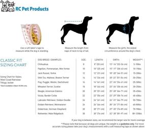 img 1 attached to RC Pet Products West Coast Dogs best: Apparel & Accessories