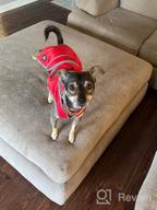 img 1 attached to Waterproof Reflective Winter Dog Jacket With Reversible Stormguard, Windproof Coat For Cold Weather, Warm Coat Vest For Small, Medium, Large Dogs - Red (Size S) By MIGOHI review by Kari Barley