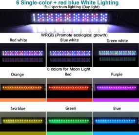 img 2 attached to AMZBD Led Aquarium Light: Full Spectrum & WRGB Color Adjustment | 3 Timings | Adjustable Brightness | Expandable Bracket | Ideal for 12-18 inch Fish Tanks