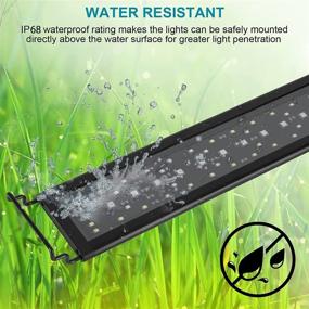 img 3 attached to AMZBD Led Aquarium Light: Full Spectrum & WRGB Color Adjustment | 3 Timings | Adjustable Brightness | Expandable Bracket | Ideal for 12-18 inch Fish Tanks
