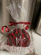 img 1 attached to Poly Treat Bags With Twist Ties In Assorted Colors For Candies, Cookies And Treats - Pack Of 200 (5'' X 7'') review by Jamal Webb
