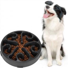 img 4 attached to Slow Feeder Dog Bowl Non Slip Non Toxic Healthy Feeder No Chocking Dog Food Water Bowl For Medium Small Pet