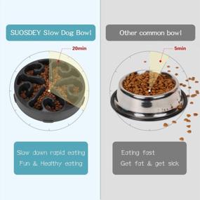 img 2 attached to Slow Feeder Dog Bowl Non Slip Non Toxic Healthy Feeder No Chocking Dog Food Water Bowl For Medium Small Pet