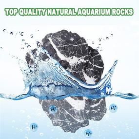img 3 attached to WDEFUN Натуральные украшения для аквариумов Рептилия
