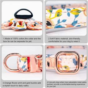 img 1 attached to 🌼 Orange Floral Dog Collar and Leash Set with Flower Bow Tie – Adjustable Metal Buckle and Dog Tag for Small, Medium, and Large Dogs