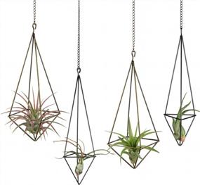 img 4 attached to Chic Air Plant Decor: Dahey'S Himmeli Geometric Display In Bronze