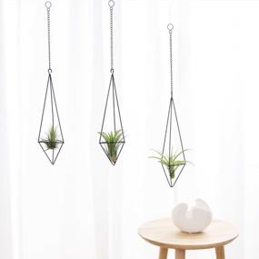 img 3 attached to Chic Air Plant Decor: Dahey'S Himmeli Geometric Display In Bronze