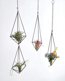 img 1 attached to Chic Air Plant Decor: Dahey'S Himmeli Geometric Display In Bronze
