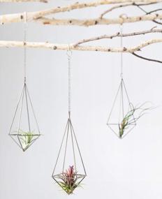 img 2 attached to Chic Air Plant Decor: Dahey'S Himmeli Geometric Display In Bronze