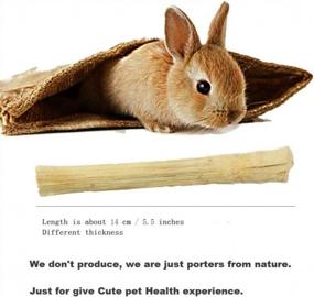 img 3 attached to 150G Sweet Bamboo Rabbit Chew Toys | Natural Teeth Cleaning Treats For Rabbits, Hamsters, Chinchillas, Guinea Pigs & More