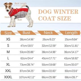 img 2 attached to 🐶 OUOBOB Winter Dog Jacket - Cozy, Reflective, Waterproof, and Windproof Pet Coat for Cold Weather. Comfortable Fleece Apparel with Zipper Closure for Small, Medium, and Large Dogs. Ideal for Puppy Walking.