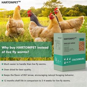 img 2 attached to HARTOMPET Premium Dried Black Soldier Fly Larvae - 10LBS, and Dried Mealworms for Wild Birds - 5.5 🐛 LBS, Total 11LBS - High-Quality Poultry Feed Molting Supplement - Nutritious Worm Treats for Chickens, Quails, Ducks, Reptiles, and Turtles