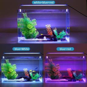 img 1 attached to 🐠 Enhance Your Aquarium with LED Aquarium Light - Full Spectrum 7"/8"/10"/12" Fish Tank Lights, 8W Multi-Color Freshwater/Saltwater Plant Lamp with White, Blue, and Red LEDs