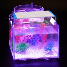 img 3 attached to 🐠 Enhance Your Aquarium with LED Aquarium Light - Full Spectrum 7"/8"/10"/12" Fish Tank Lights, 8W Multi-Color Freshwater/Saltwater Plant Lamp with White, Blue, and Red LEDs