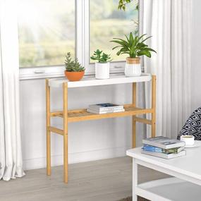 img 3 attached to Breathe Easier With The Wisuce Bamboo Indoor 2 Tier Plant Stand - Perfect For Multiple Plants And Window Displays!