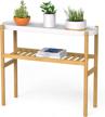 breathe easier with the wisuce bamboo indoor 2 tier plant stand - perfect for multiple plants and window displays! logo
