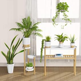 img 1 attached to Breathe Easier With The Wisuce Bamboo Indoor 2 Tier Plant Stand - Perfect For Multiple Plants And Window Displays!