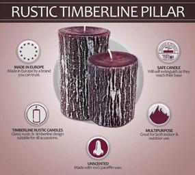 img 2 attached to Purple Rustic European Pillar Candles - Hyoola Timberline Collection - Pack Of 6 - Long Lasting 3 X 5 Inch Size