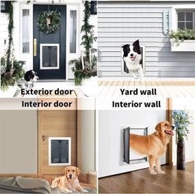 img 2 attached to Luxurious Pataplus Dog Doors with Aluminum Frame for Interior/Exterior Door/Wall – Durable Swing Double Magnetic Flaps, Heavy-Duty Pet Door with Security Lock, Energy Efficiency, and Easy Installation (Large)