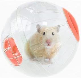img 4 attached to 🐹 6'' Hamster Exercise Ball: Small Animal Toy for Running, Jogging Wheel, and Activity – Transparent Ball for Mice and Rats