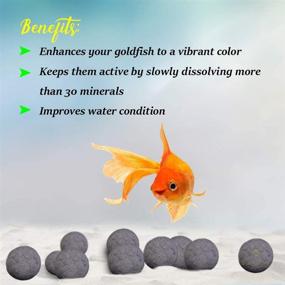 img 2 attached to SunGrow Aquarium Nutritious Calcium Rich Benefits