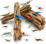 🌵 sungrow cholla wood: premium dried husk for shrimps, crabs, pleco - ideal aquarium & home decor - 3 pieces per pack логотип